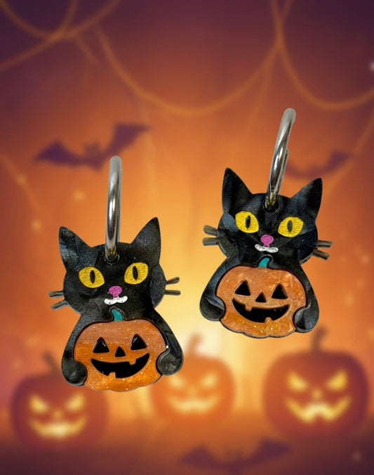 Gato Calabaza